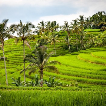 Indonesia