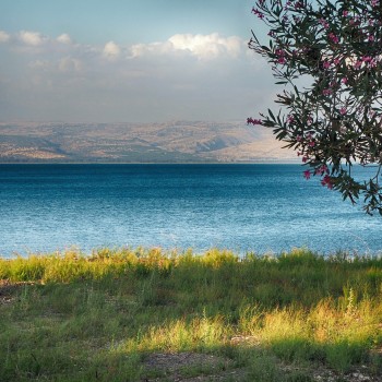 Israel