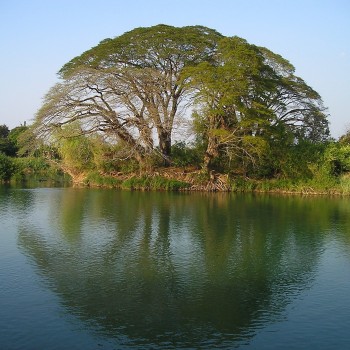 Laos