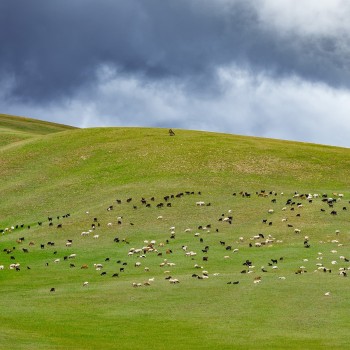 Mongolia