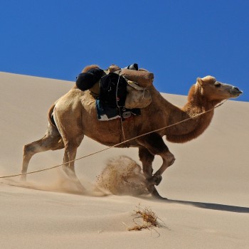 Mongolia