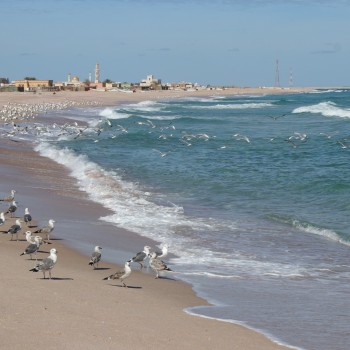 Oman