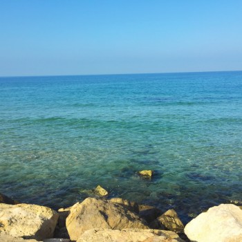 Palestine