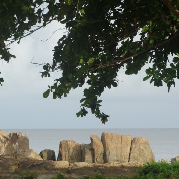 French Guiana