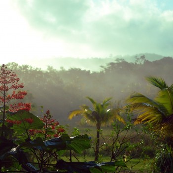 French Guiana