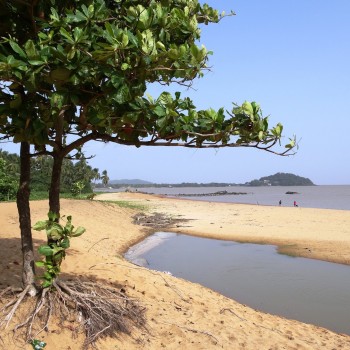 French Guiana